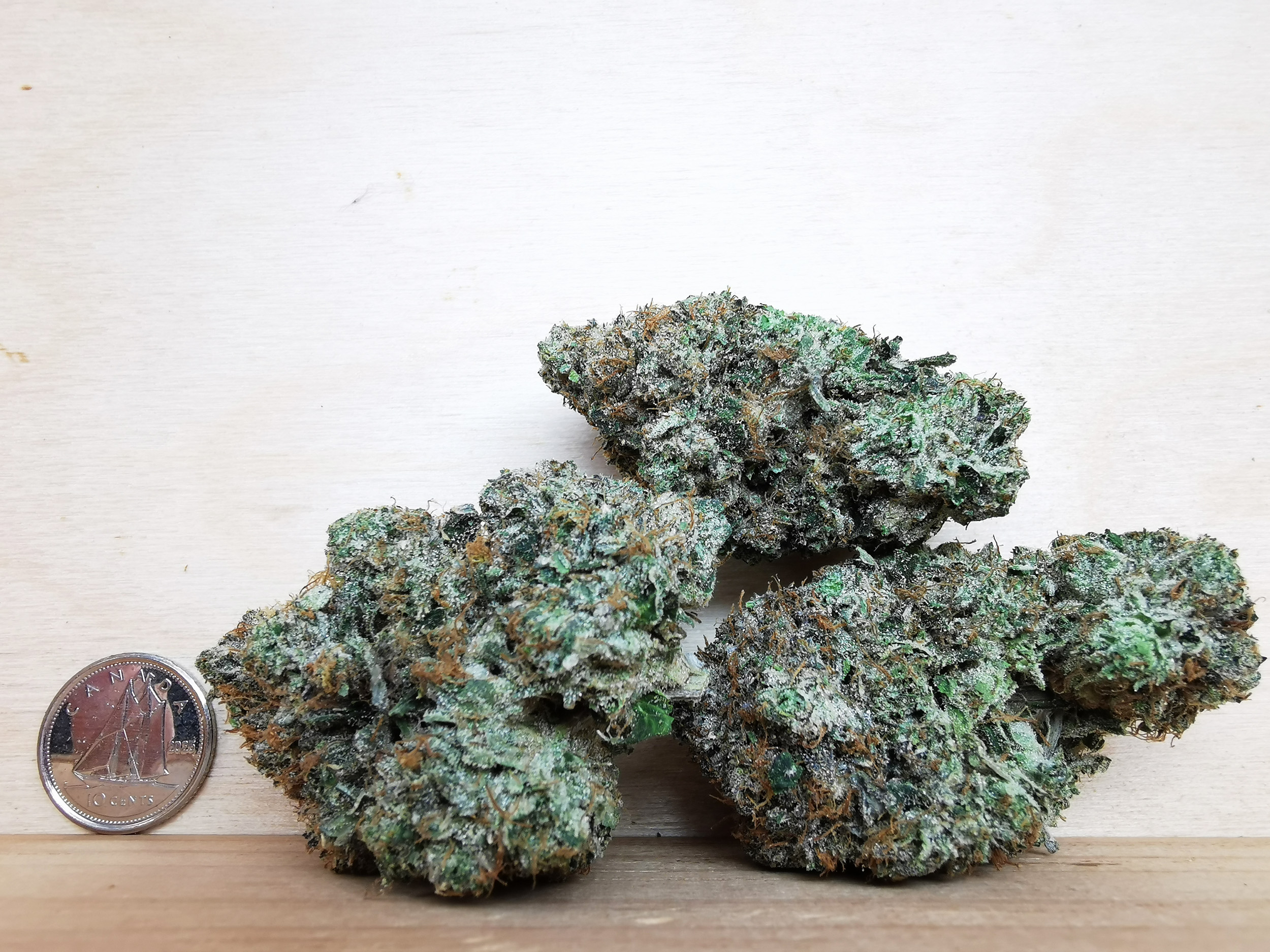 AAAA+ Death Star - Image 2