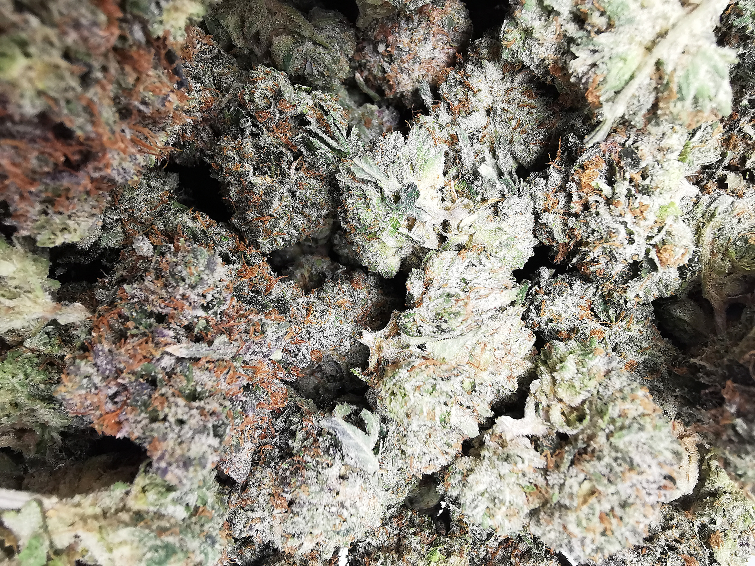 AAAA+ Death Star - Image 3