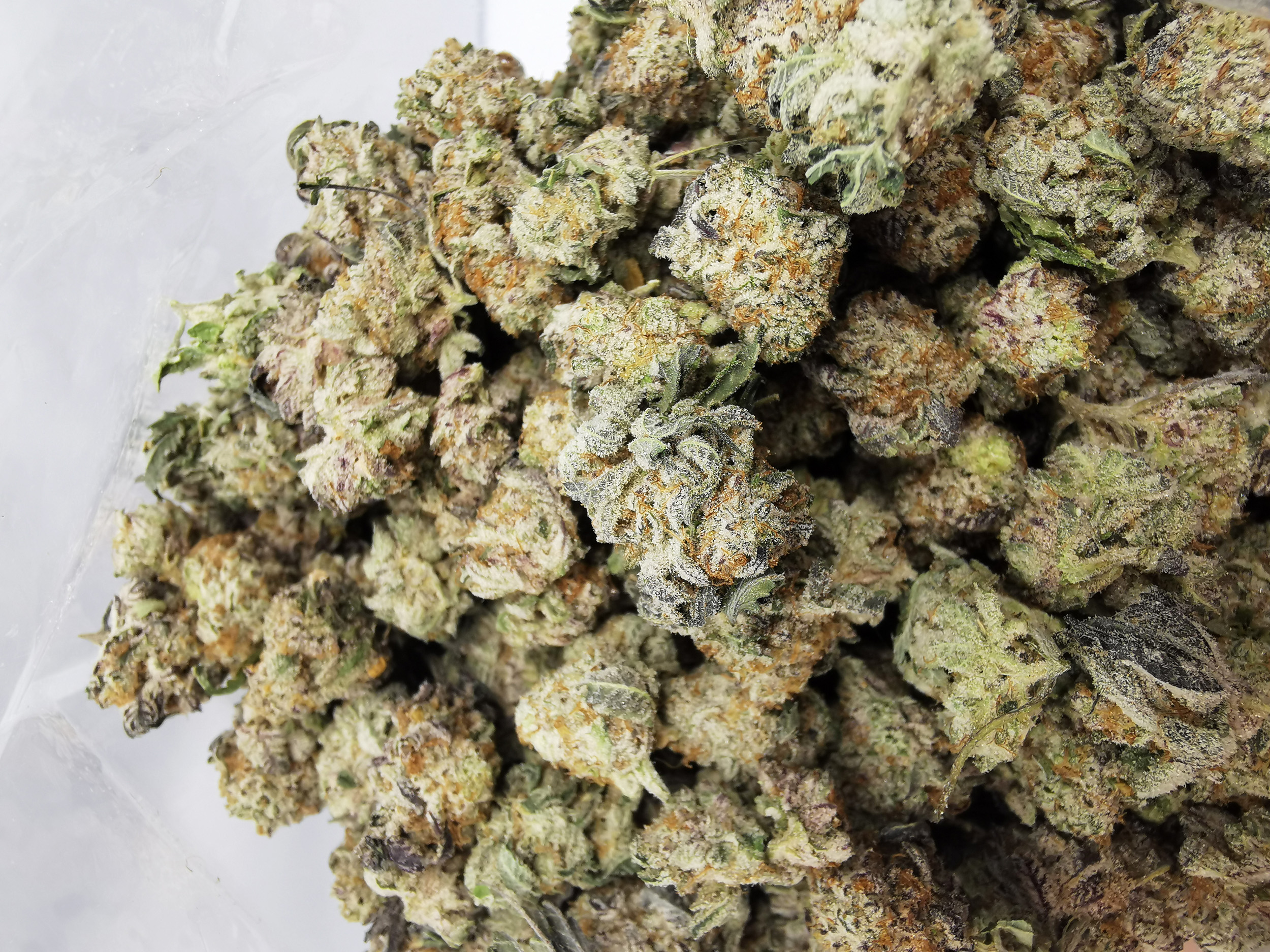 AAAA Durban Poison Smalls - Image 5
