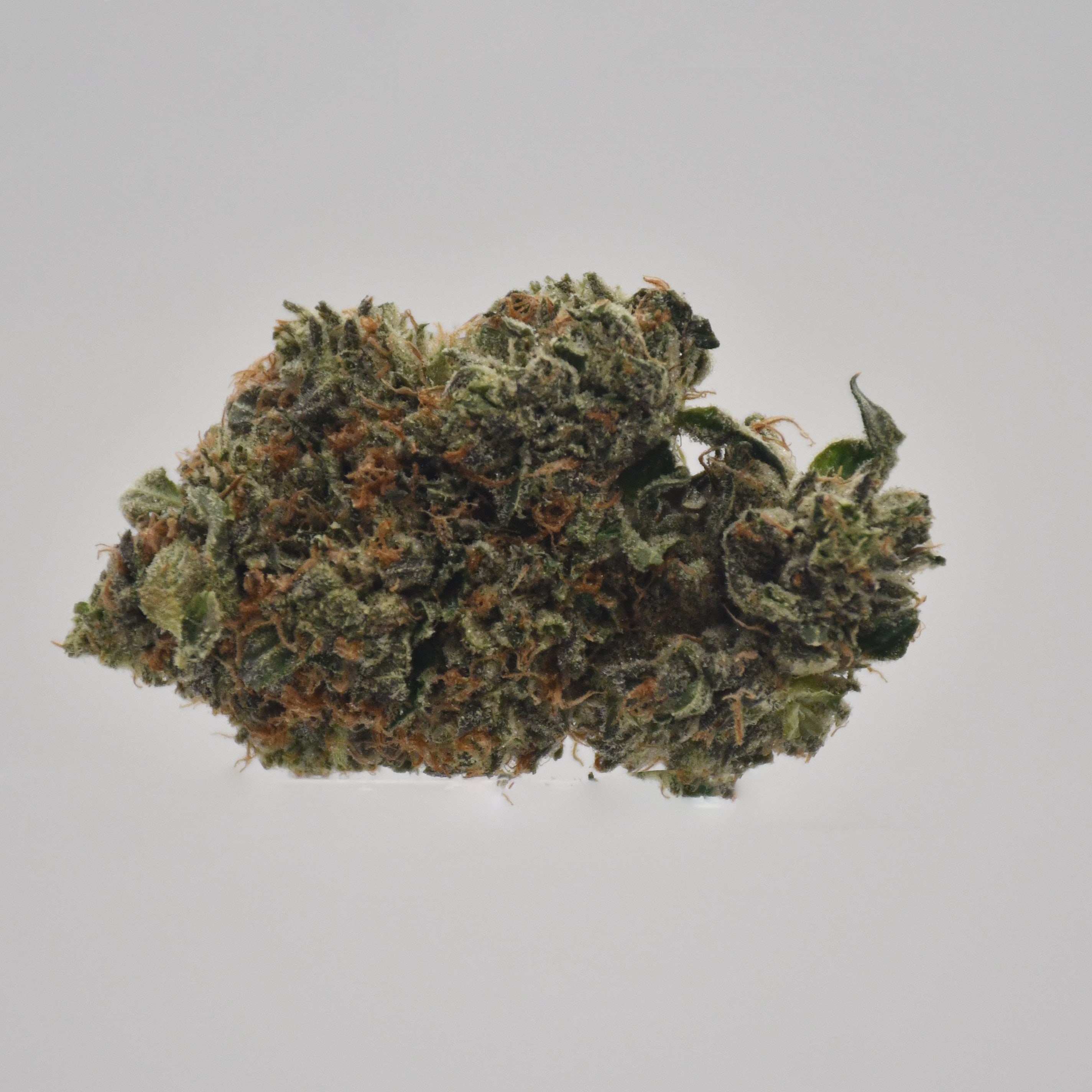 AAAA+ Gas Truffle - Image 4