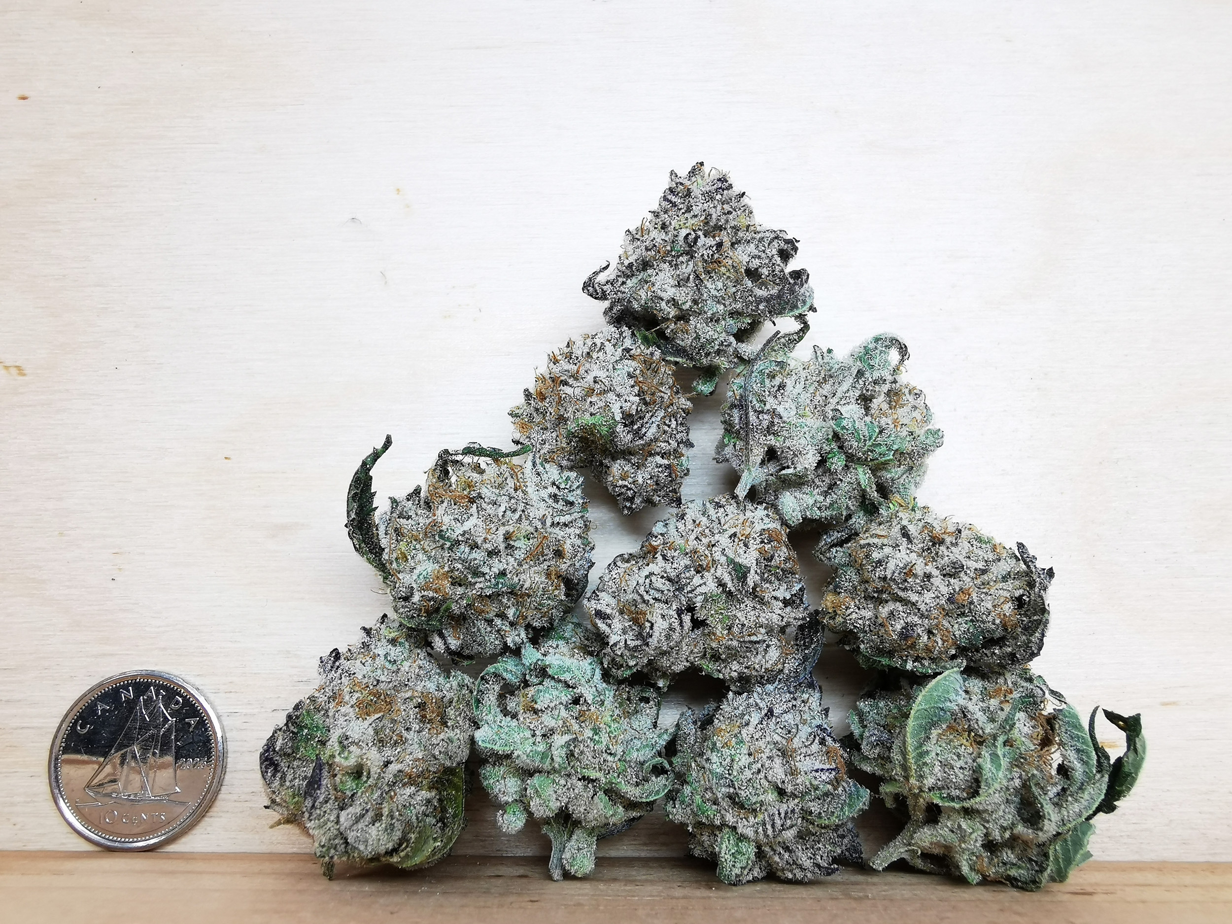 AAAA Blueberry Punch - Image 2