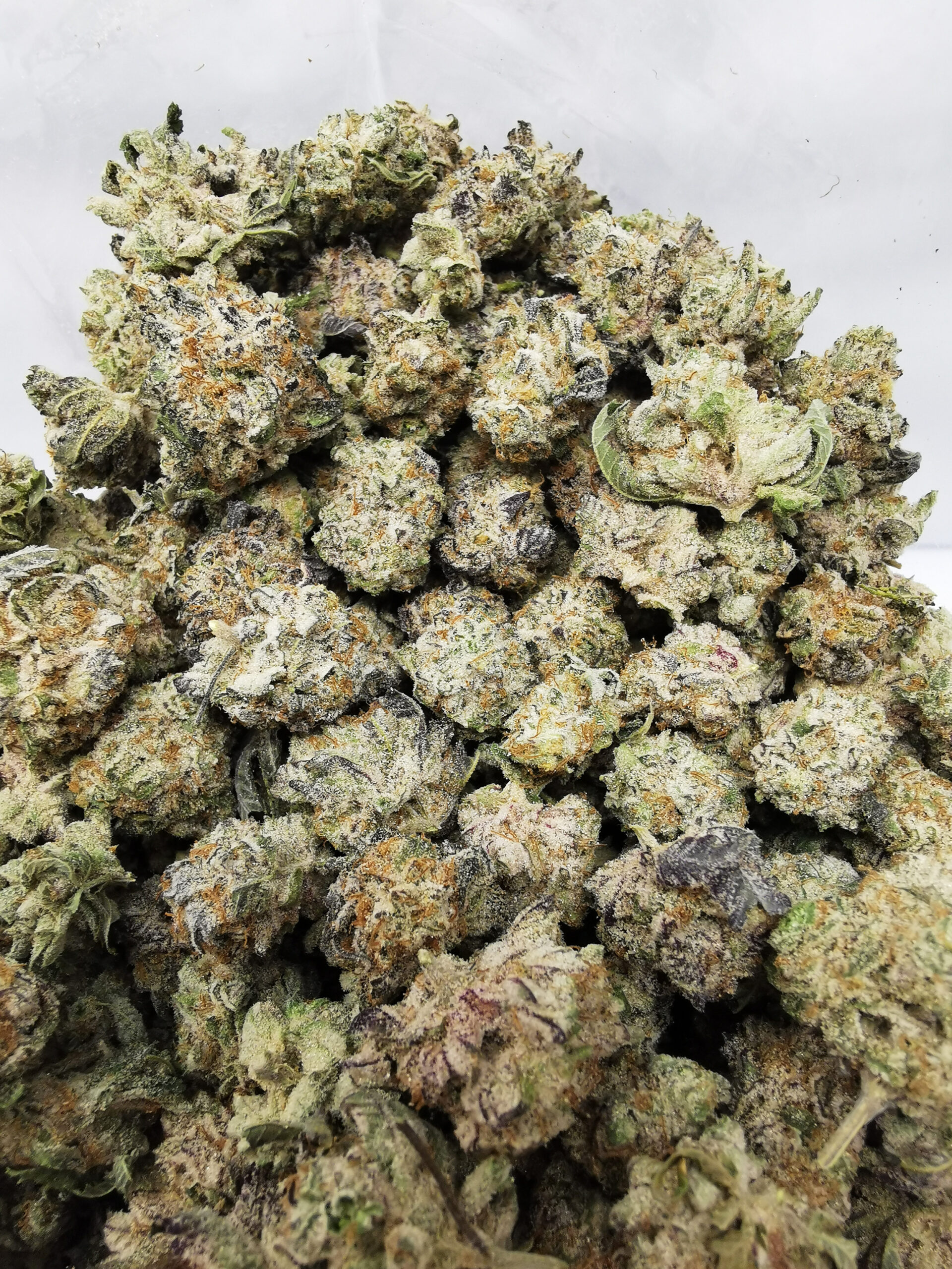 AAAA Blueberry Punch - Image 3