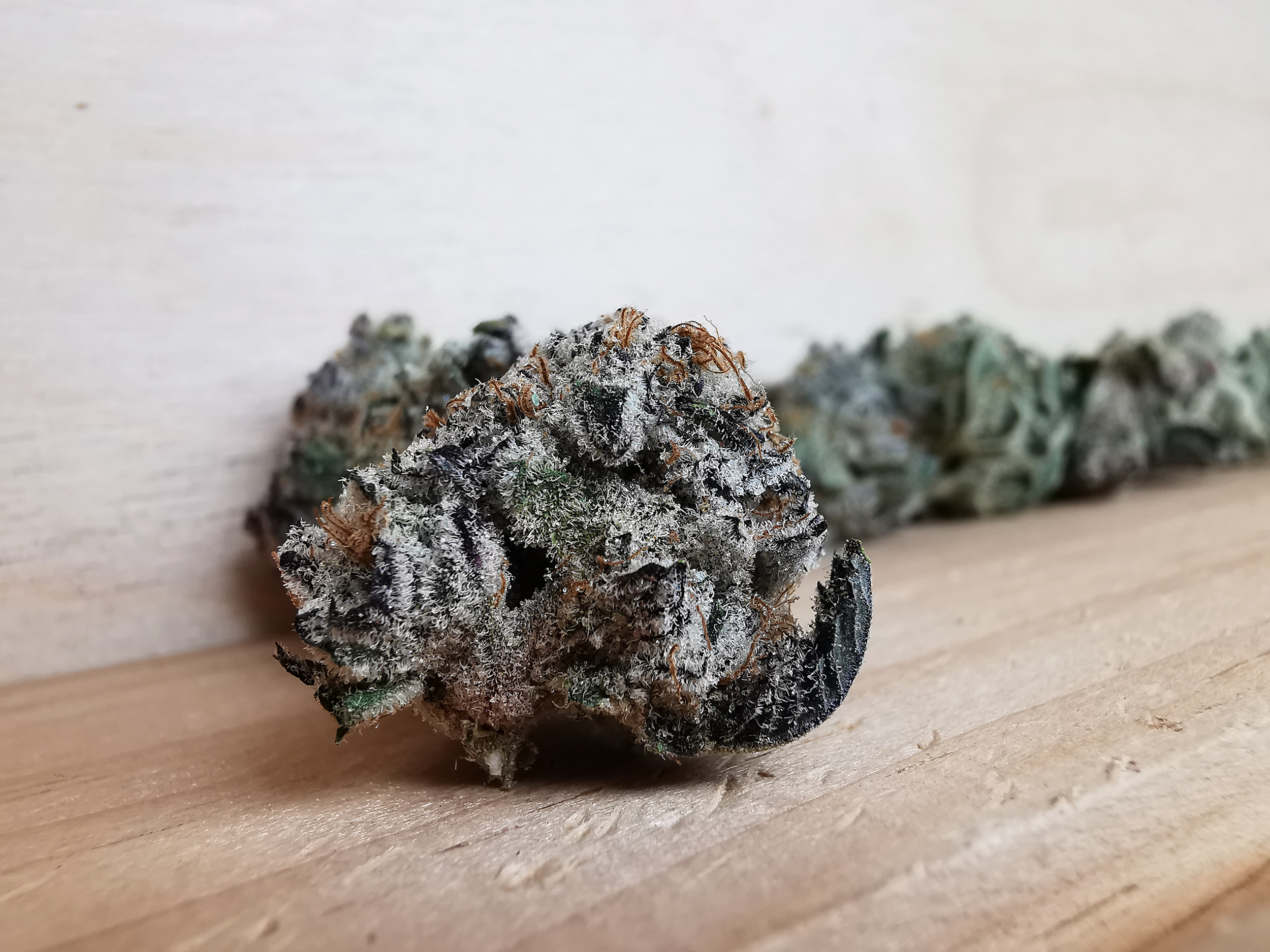 AAAA Blueberry Punch - Image 5